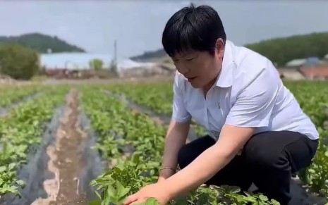喜迎妇女十四大·巾帼力量｜于丽：奋斗在乡村振兴路上的巾帼带头人